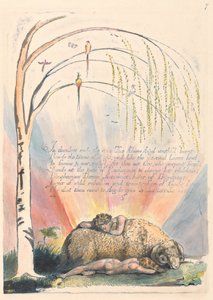 アメリカ。予言、プレート9 作： William Blake